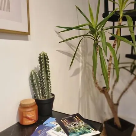 Дом отдыха L'escapade Duplex : Netflix/hortillons/st Leu/gare *